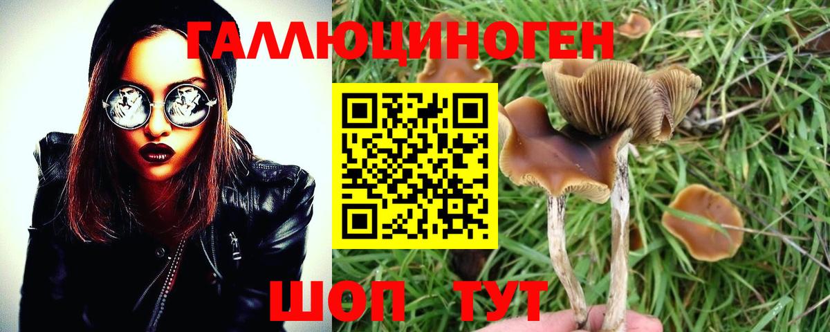 Михайловск  Галлюциногенные грибы ЛСД  Вход с VPN 